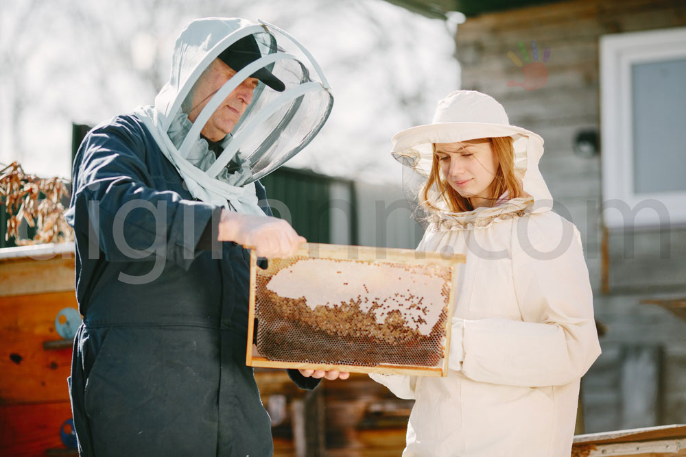 نمایی از مزرعه زنبورستان کندو آموزش زنبورداری توسط زنبورداران مرد و زن با لباس سفید و سیاه درحال رویت قاب شان برای تشخیص موم عسل طبیعی از تقلبی