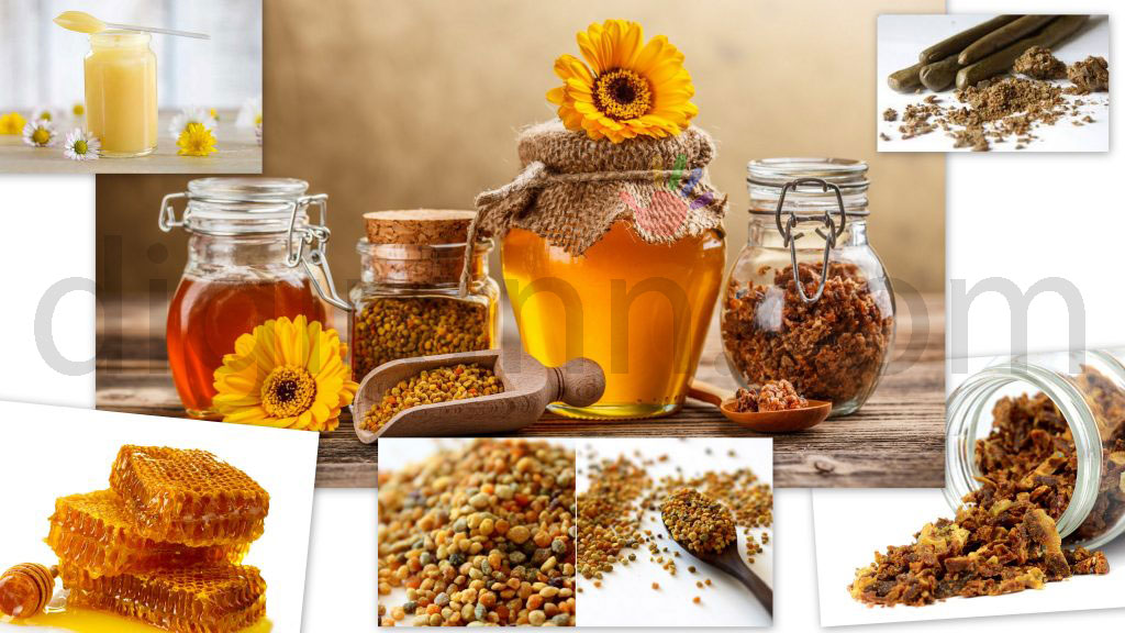 نمایی از محصولات زنبورعسل و معرفی بهترین فرآورده های زنبورعسل