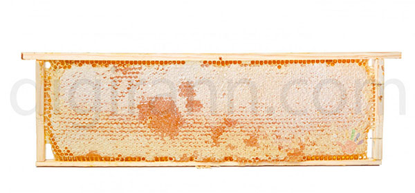 قاب کامل شان موم عسل و روش هایی که می‌توان عسل را از موم جدا کنیم
